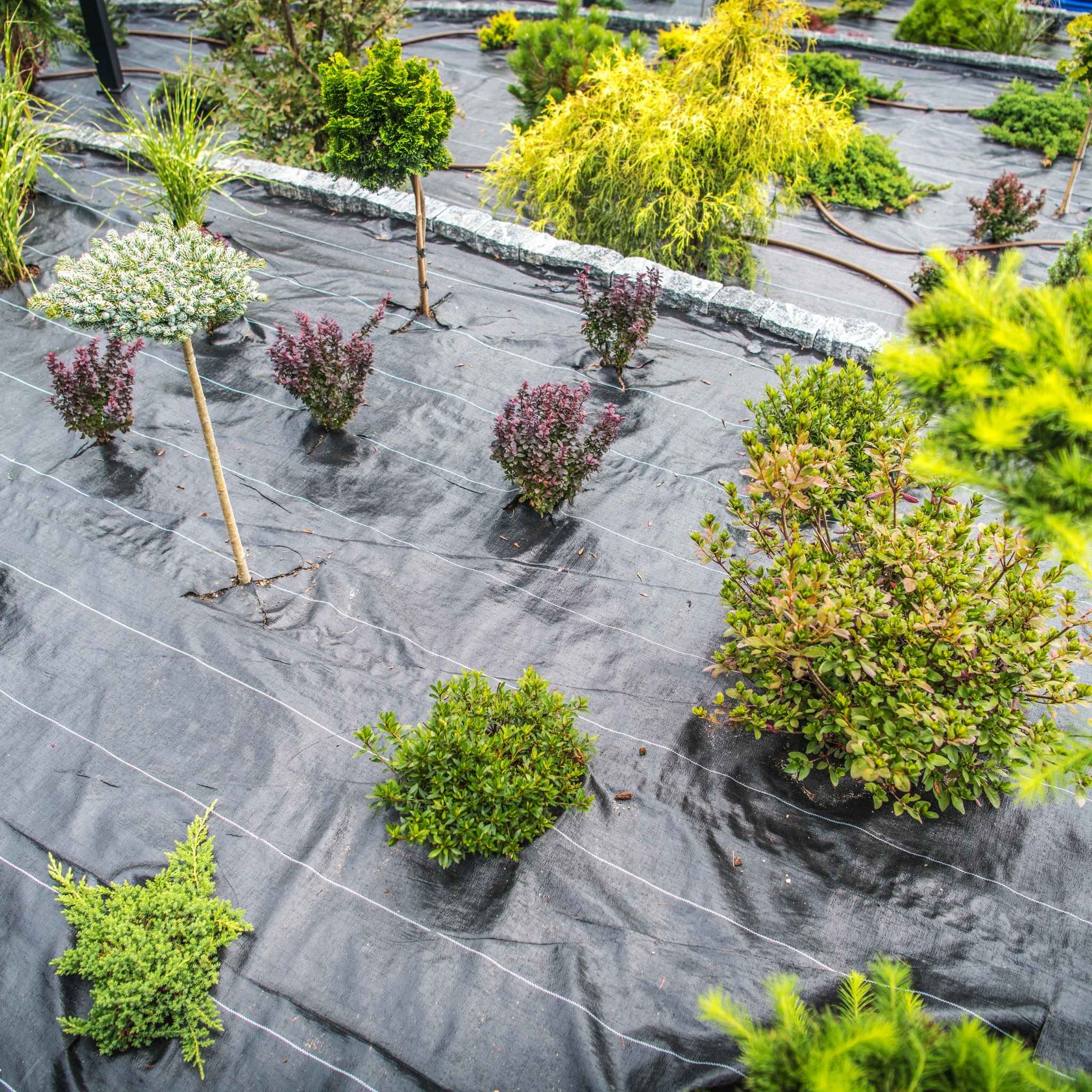 Sustainable Landscape Performance 