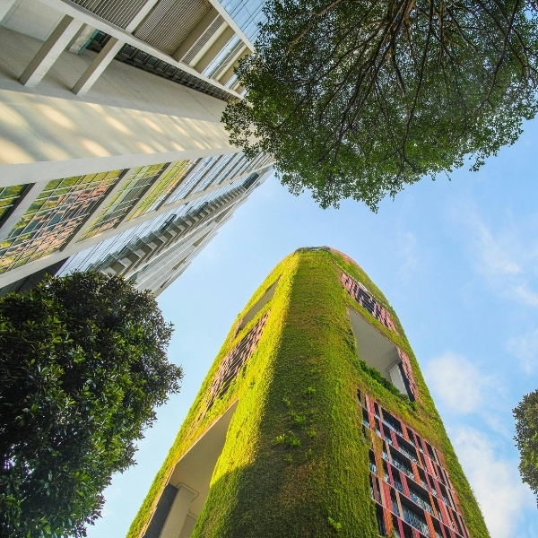 Urban Design